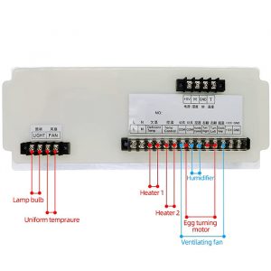 controller-incubatrice-XM-18D-5