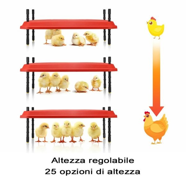 chioccia-artificiale-rossa-temperatura-regolabile-6