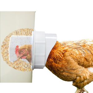 mangiatoia-automatica-per-galline-antispreco-8-porte-2