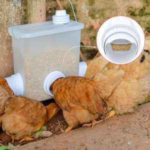 mangiatoia-automatica-per-galline-antispreco-8-porte-4
