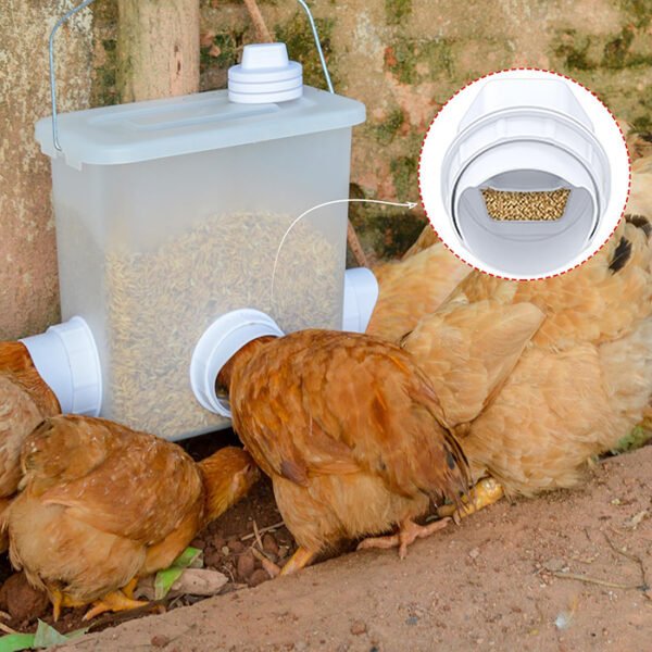 mangiatoia-automatica-per-galline-antispreco-8-porte-4