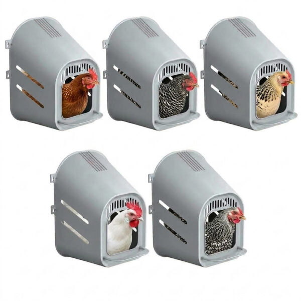 nido-per-galline-ovaiole-grigio-5-pezzi